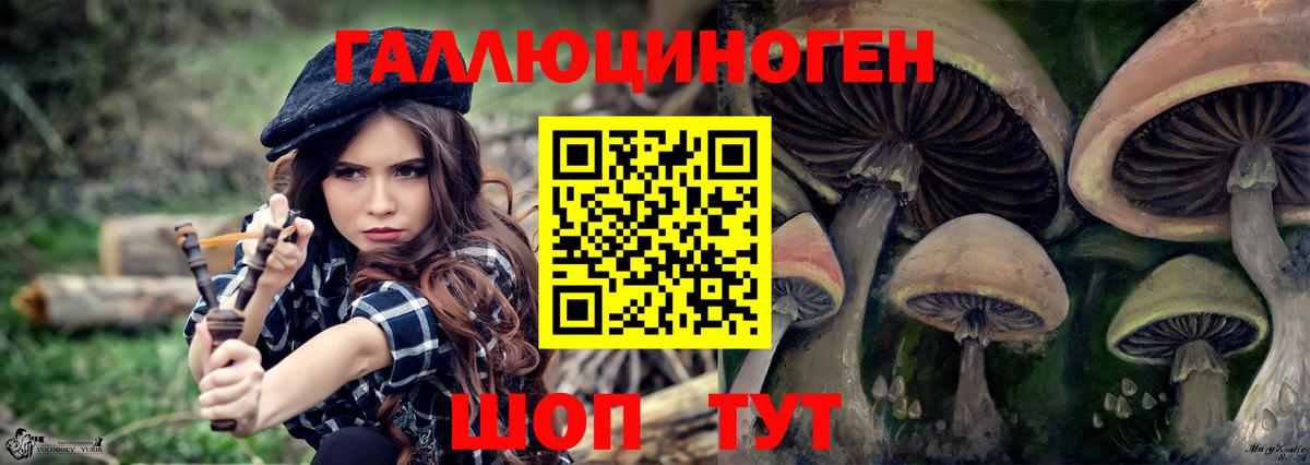 Кушва  Галлюциногенные грибы Psilocybine cubensis  Вход с VPN 